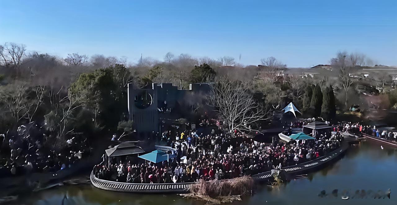 扬州元旦黑马！丁伙朴园爆火！元旦冲了丁伙朴园，直接被震撼到🔥
 
“朴韵迎新春