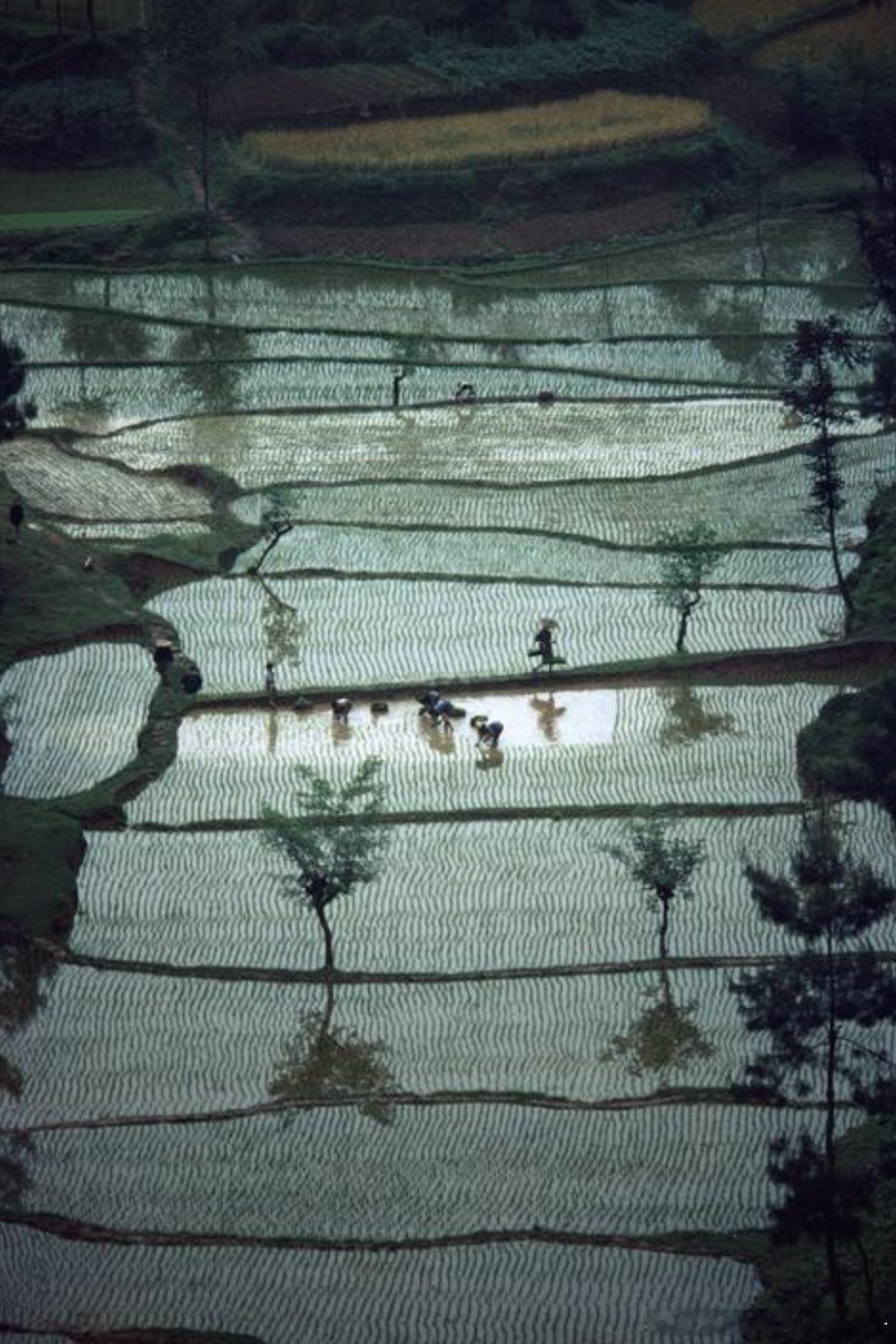 八十年代四川老照片老照片