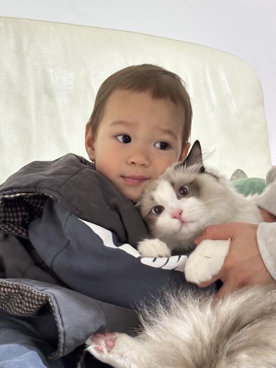 🐻&🐱