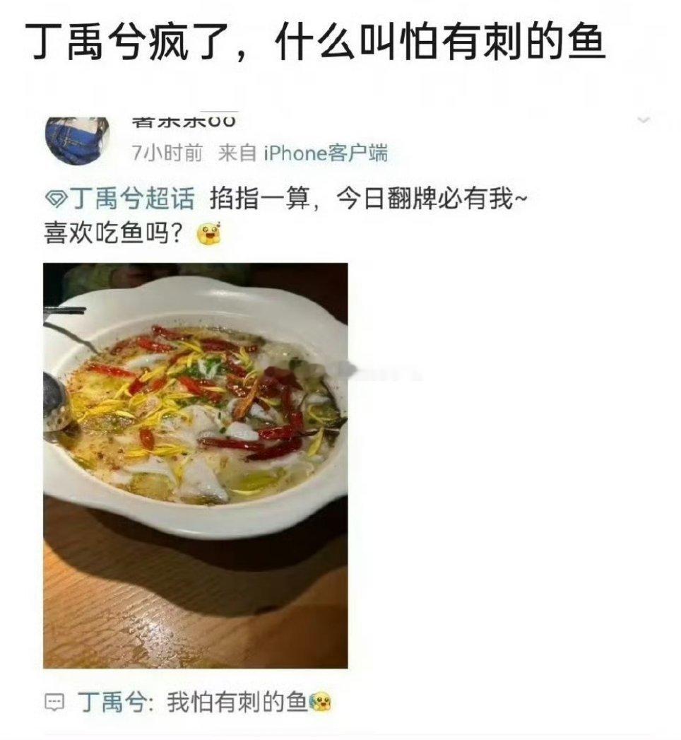 丁禹兮和虞书欣两家因为小丁这个回复在郫县展开了探讨 