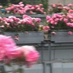 0000看淡得失，自在随心。世间万般境遇皆是常态，聚散离合皆是寻常。放下执念牵绊