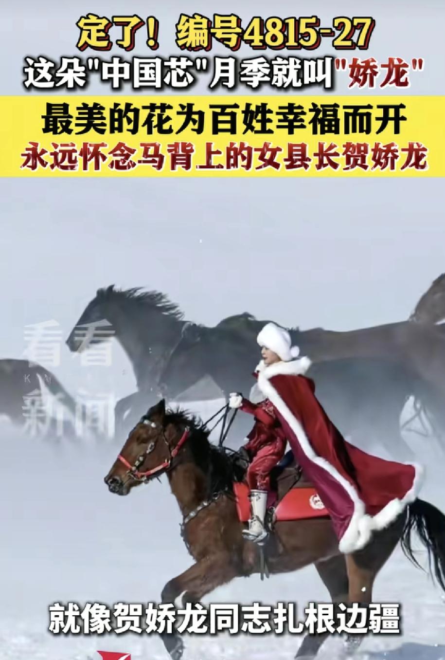 （开场动态镜头展示月季特写，配轻快音乐）

你听说过吗？
一场原本要打满一个月的