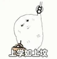 𝑺𝒉𝒂𝒓𝒆·表情包丨使用频率超高的沙雕表情包分享 ​​​