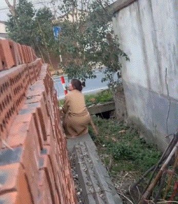 兄弟们，这家伙藏这想吓俺一跳，我要不要去给她一脚？