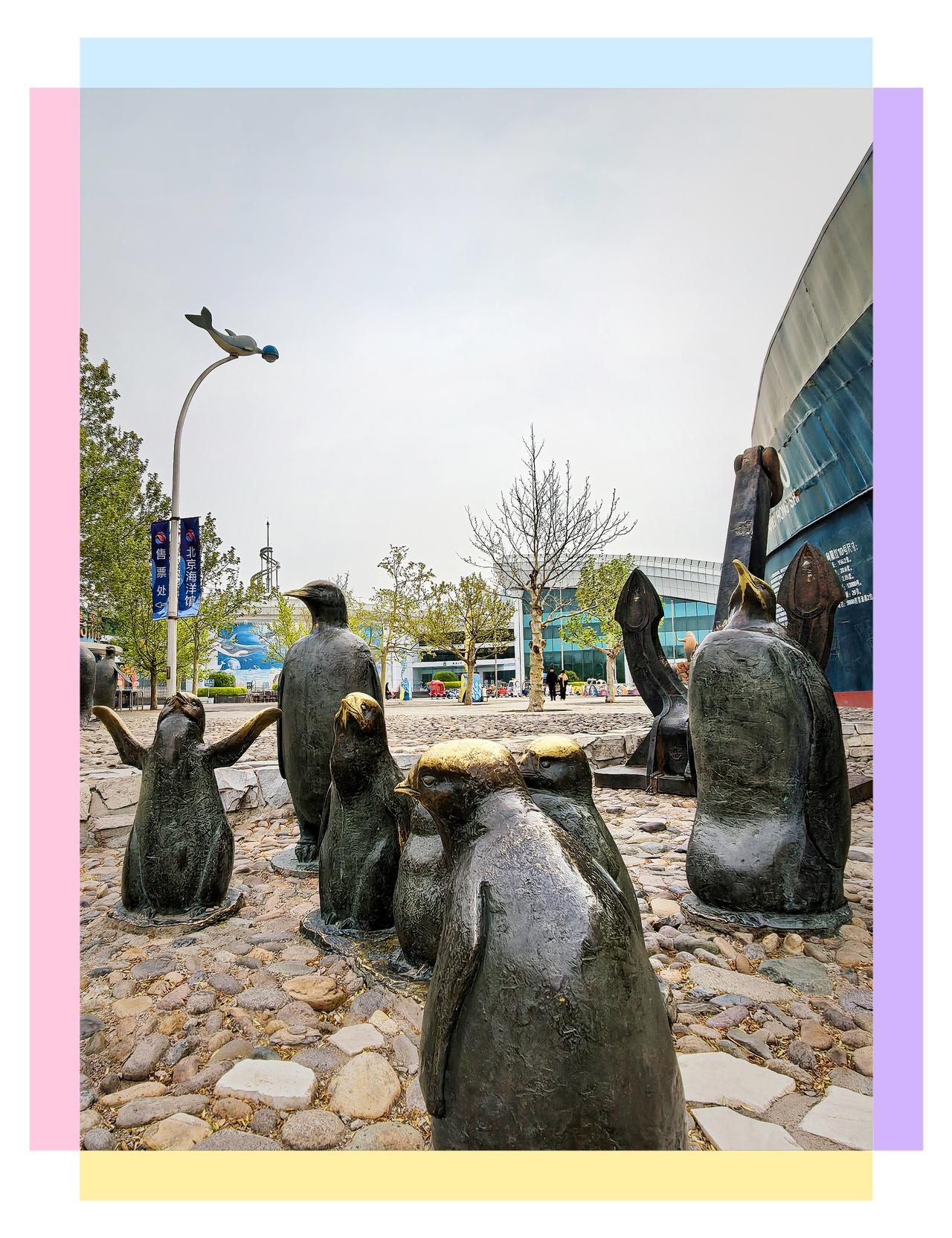 有没有好看的风景图片分享北京动物园春天