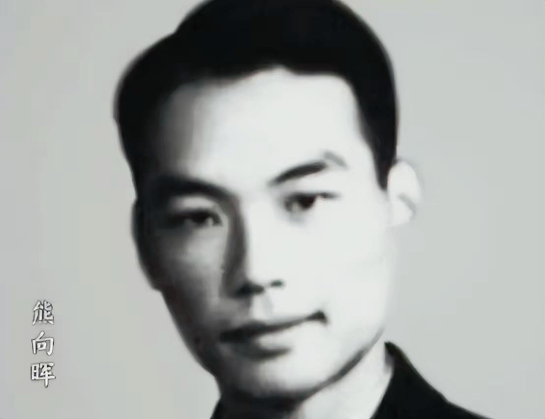 熊向晖回忆写稿挨批，毛主席：没有我，中国人民没有现在的成就？
熊向晖，毛主席曾亲
