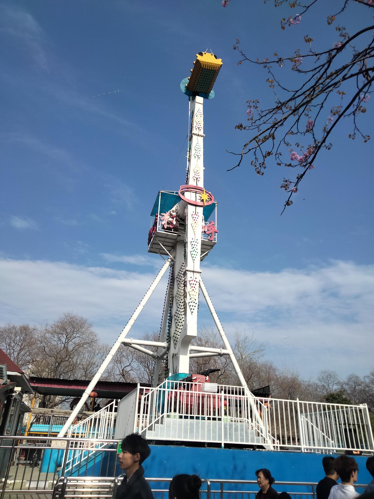 春日游乐园，欢乐荡秋千！🌸🎡