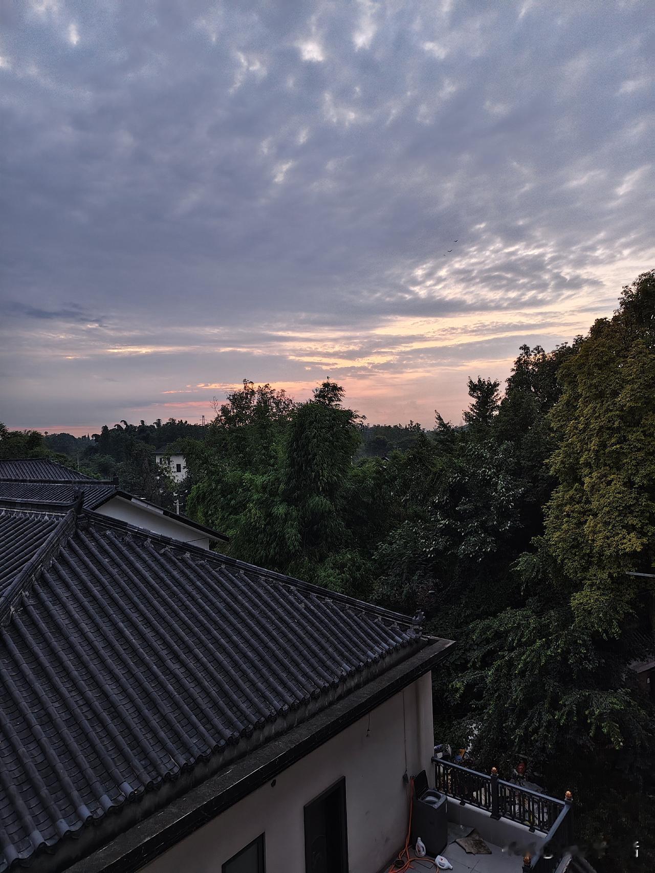 独居时光，随心随性的日子
昨晚雨落，天气不再那般燥热。一觉睡到自然醒，我随手拍了