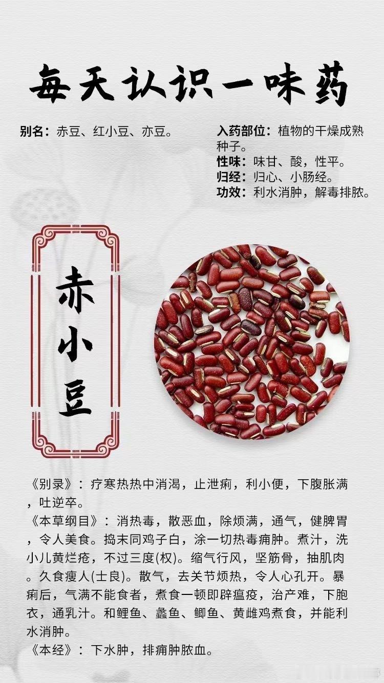  【每天认识一味药】[鲜花]赤小豆✅别名：赤豆、红小豆、亦豆✅入药部位：植物的干