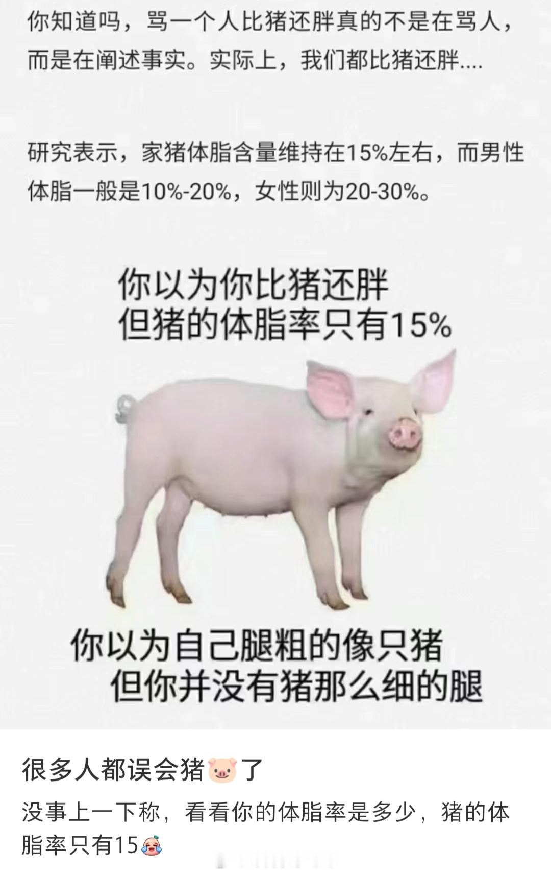 #才知道猪的体脂率比我还低#家人们我真的破防了[允悲][允悲]#暑假冲浪计划##