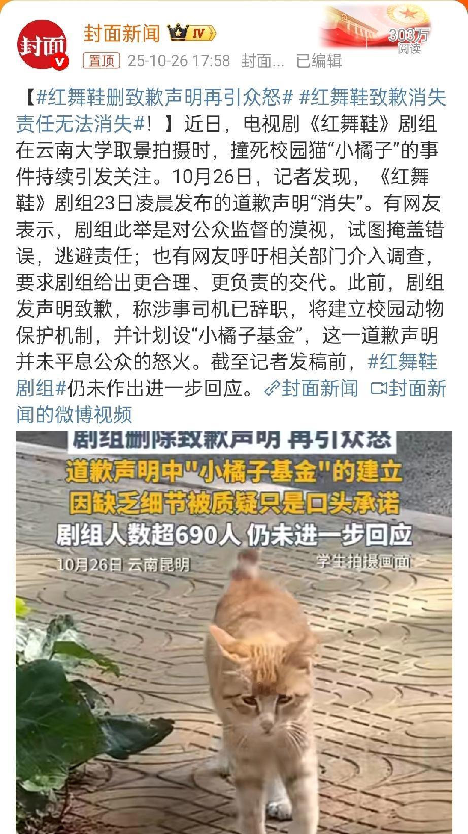 一剧组在大学校园里压死一只流浪猫，不但司机被辞，剧组被网暴，还成了某些媒体的流量