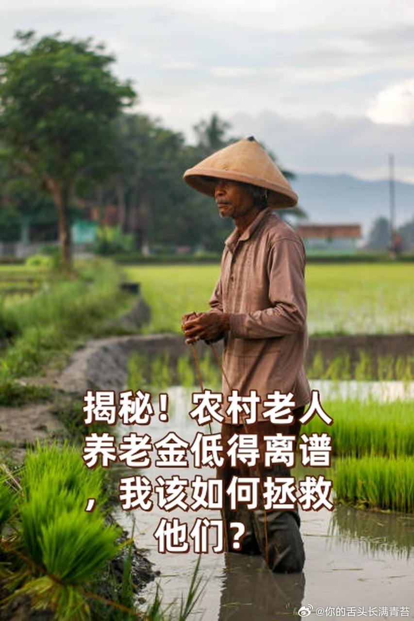 建议农民养老金统一上调   两会代表建议农民养老金每月1000元 支持者的理由，