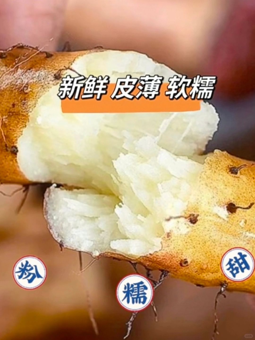 5招教你快速分辨真假温县垆土铁棍山药！