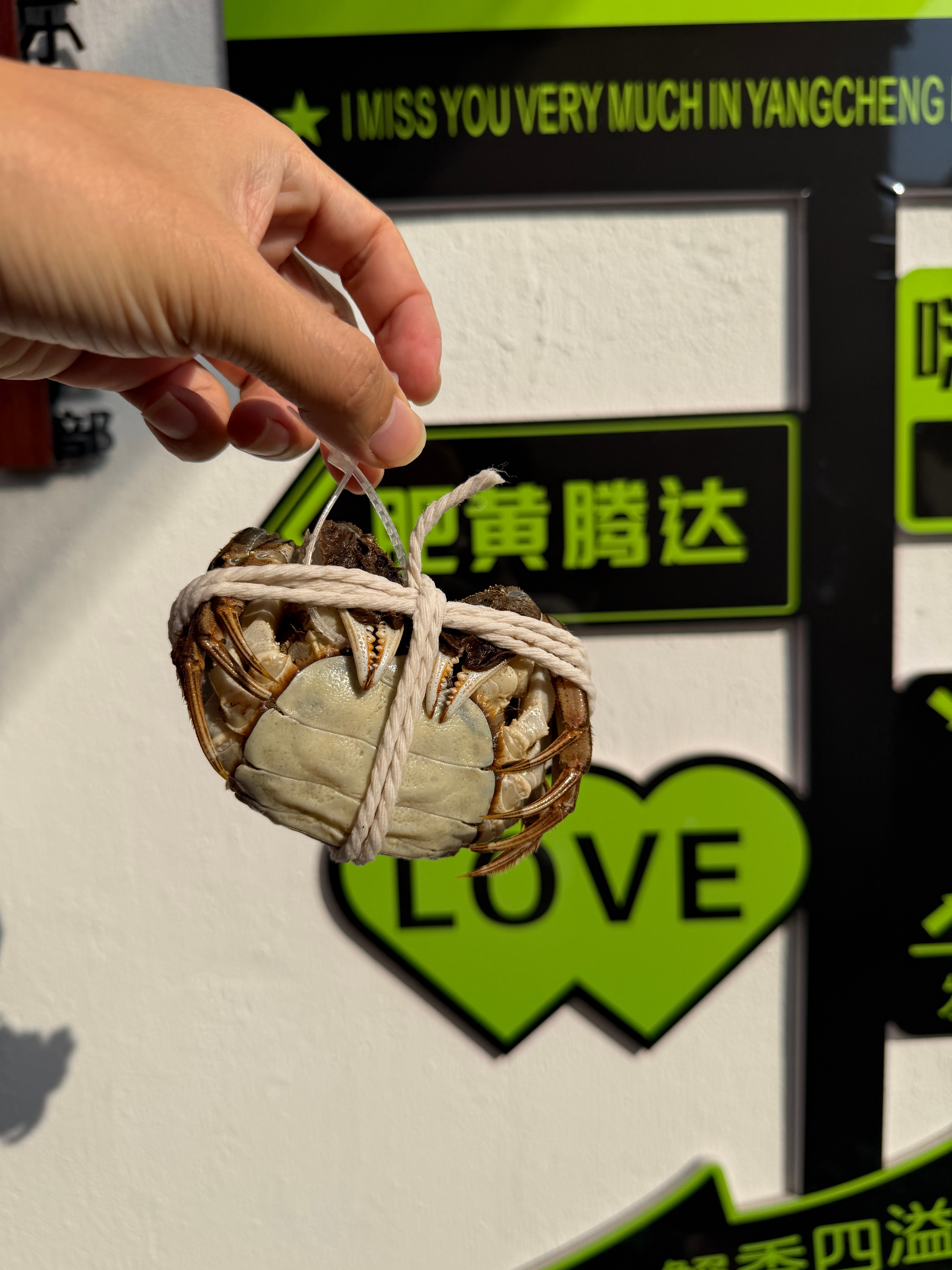 假期结束第一天，吃蟹热情❤️‍🔥不减 ​​​