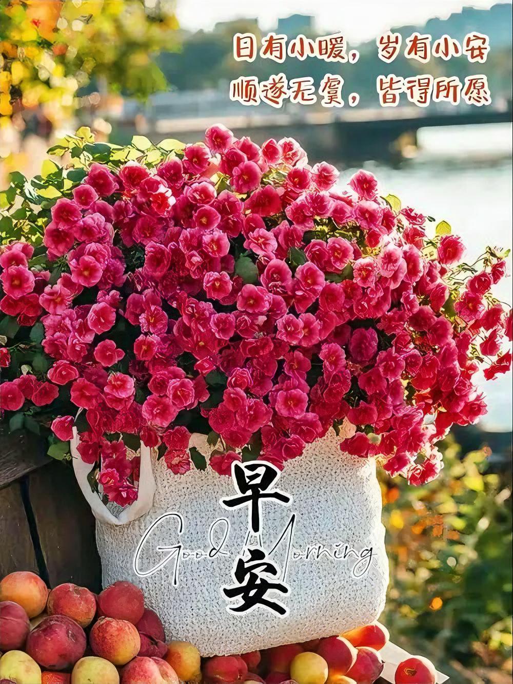 粉花似云，桃李盈篮，晨光轻拂面庞。愿你每日皆有小确幸，岁岁顺遂心愿。早安！
随手