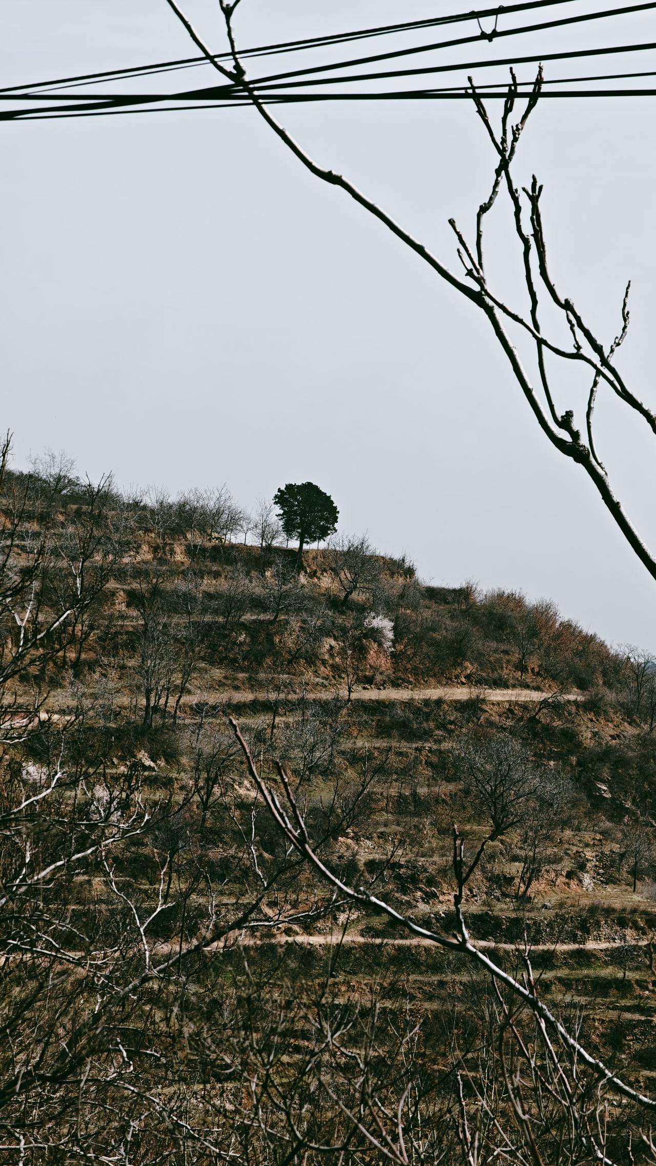 今天是3月21日，农历二月初三，因村里有丧事，特地拉着我姨回了一趟老家，去世的人