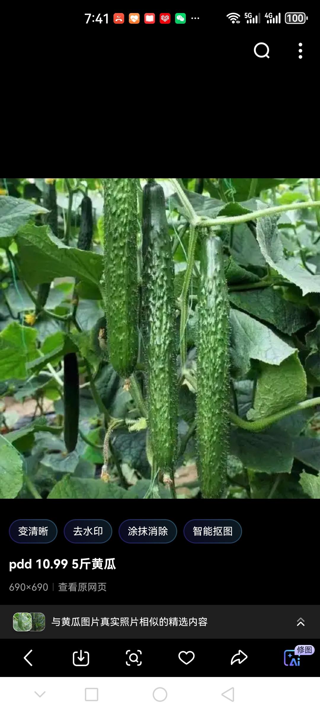 黄瓜茄子豆角三大蔬菜“剪一刀+七字口诀”高产万能管理法

黄瓜茄子豆角想高产？记