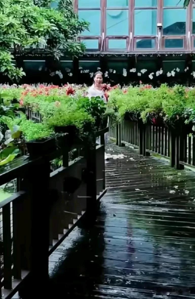 汪家的小杨保姆
算不算打擦边球呢

樱花国一行
大家都知道了
你的照片是小玥儿所