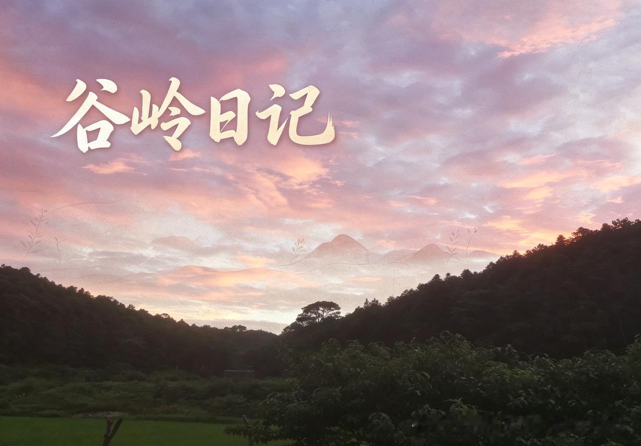 谷岭日记（2026年7月10日·多云）

下午茶室来了一位做康养投资的访客，坐下