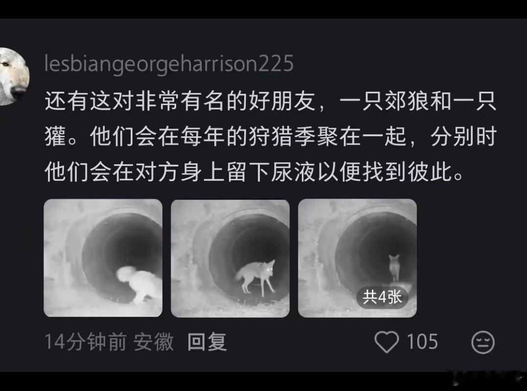 我到现在才知道，原来尿尿并不会让真正的朋友消失！ 