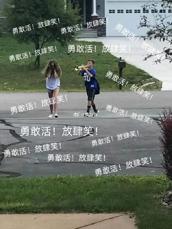 一场关于活着的温柔叙事。《10间敢死队》入围北影节天坛奖，用轻松氛围探讨生命意义