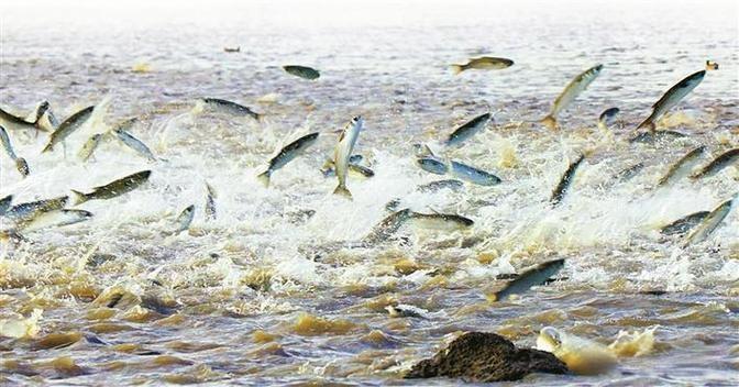 上联：孤雁横天，独将斜阳书作字；
下联：群鱼纵水，齐把平湖题为诗。