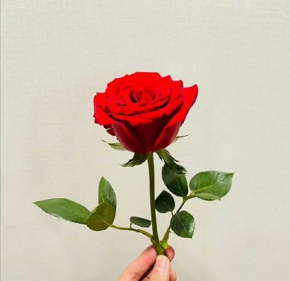 肖战[超话]  世界的模样，取决于你凝视它的目光，自己的价值，取决于你的追求与心