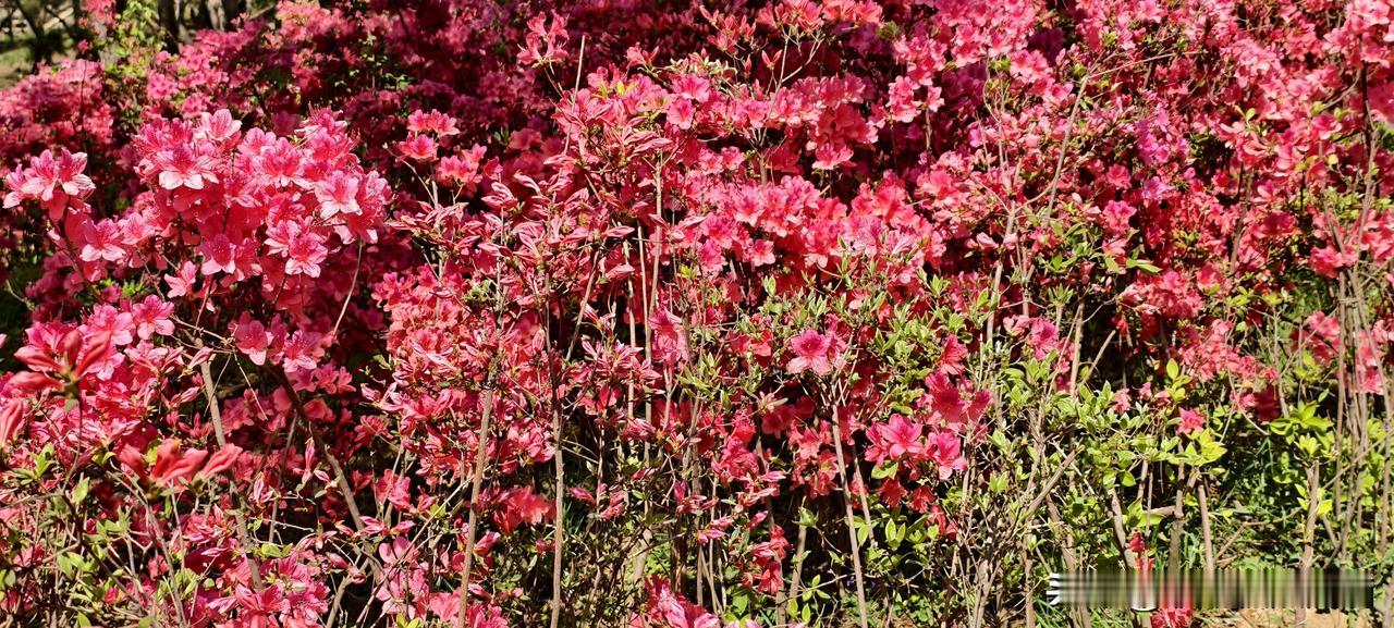 每天早上想辞职，打开招聘软件翻了三页又关上了

先讲个真事儿。

我有个朋友，在