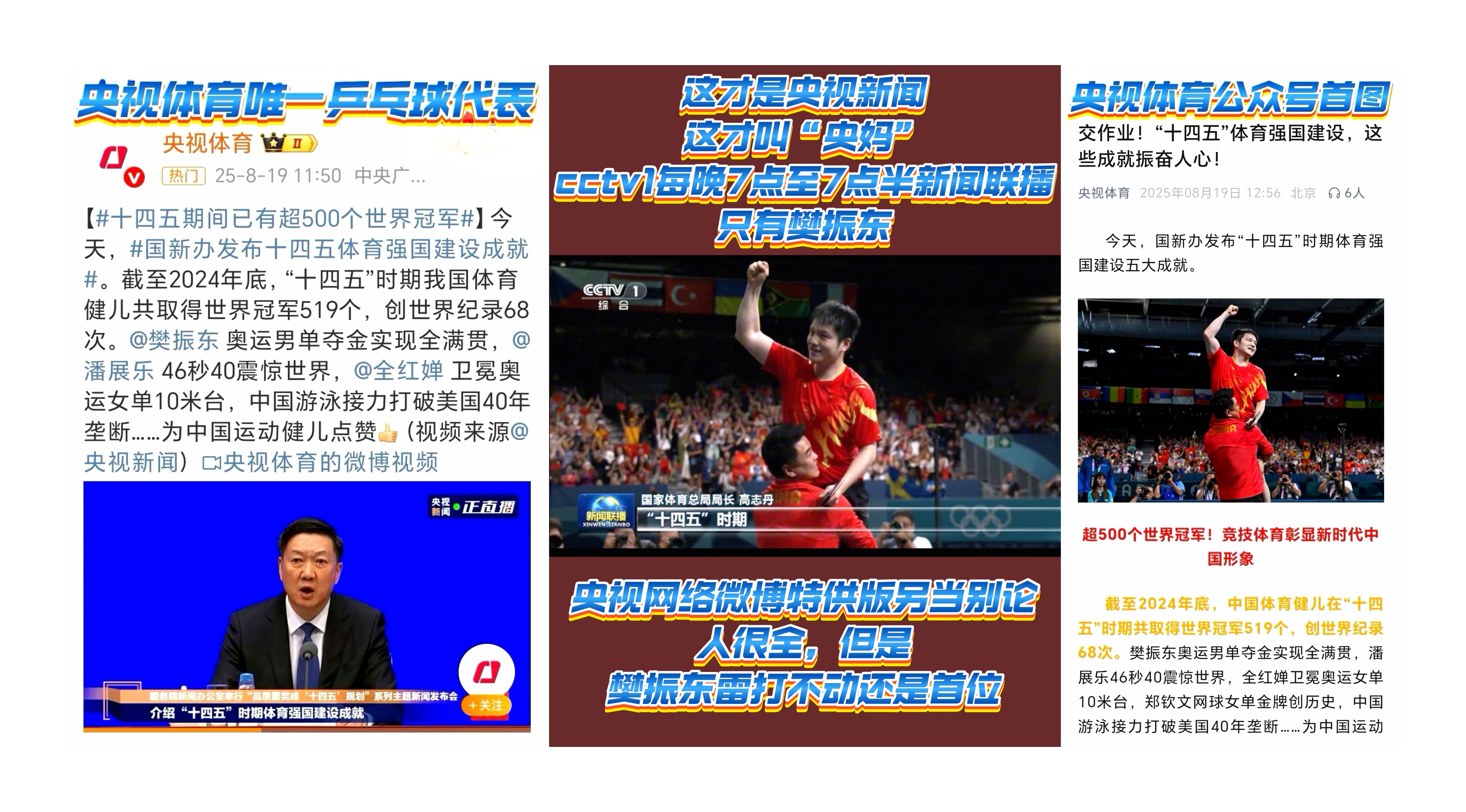 樊振东已超越冠军头衔，成为官方认证的国家荣耀符号。他的领袖地位由实力、品格与民心