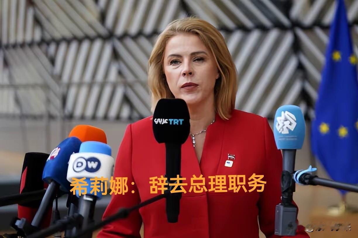 拉脱维亚美女总理埃维卡·希莉娜解除国防部长职务，导致执政联盟内讧，政府失去议会多
