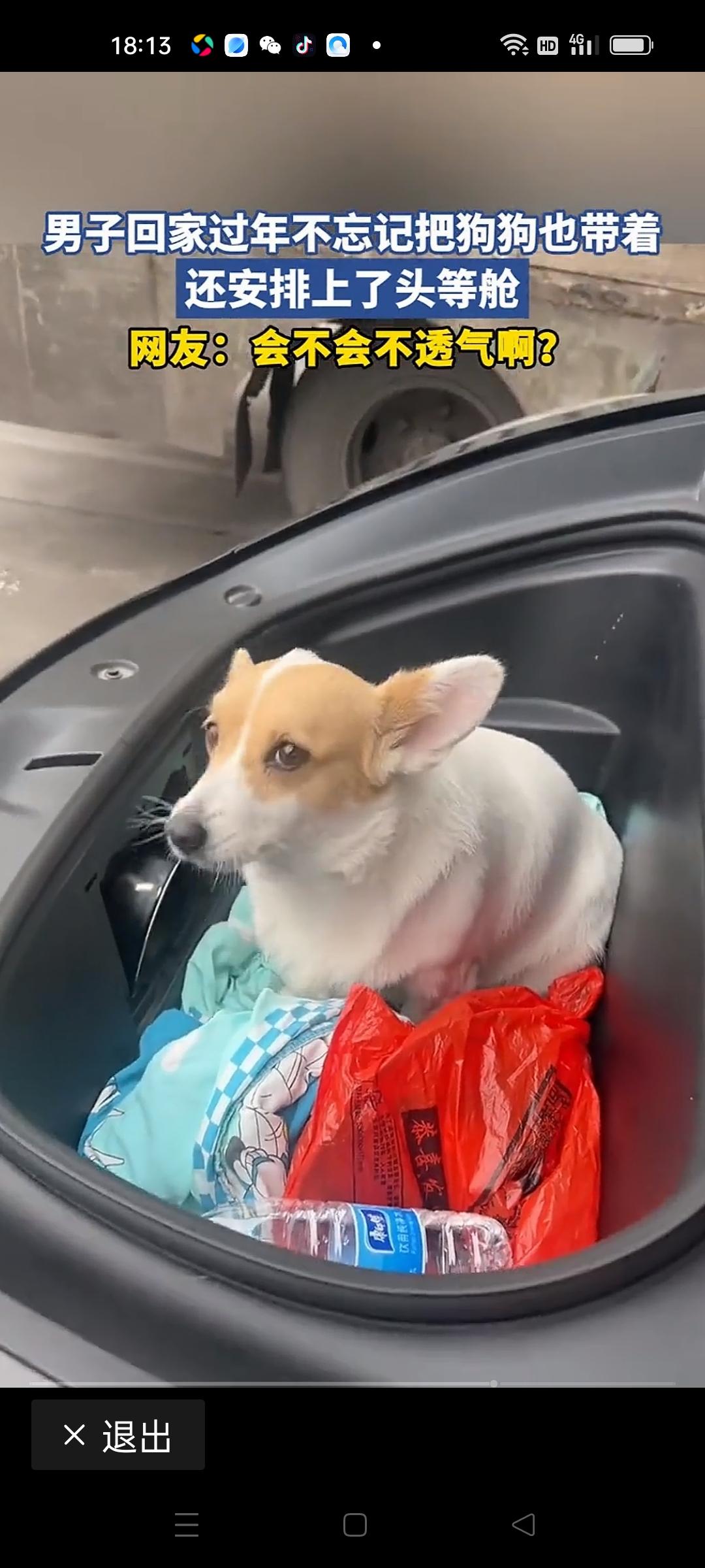 春节归家，本应是阖家团聚、温馨喜悦的时刻，却因为一只“狍狍”的出现，瞬间变得别有