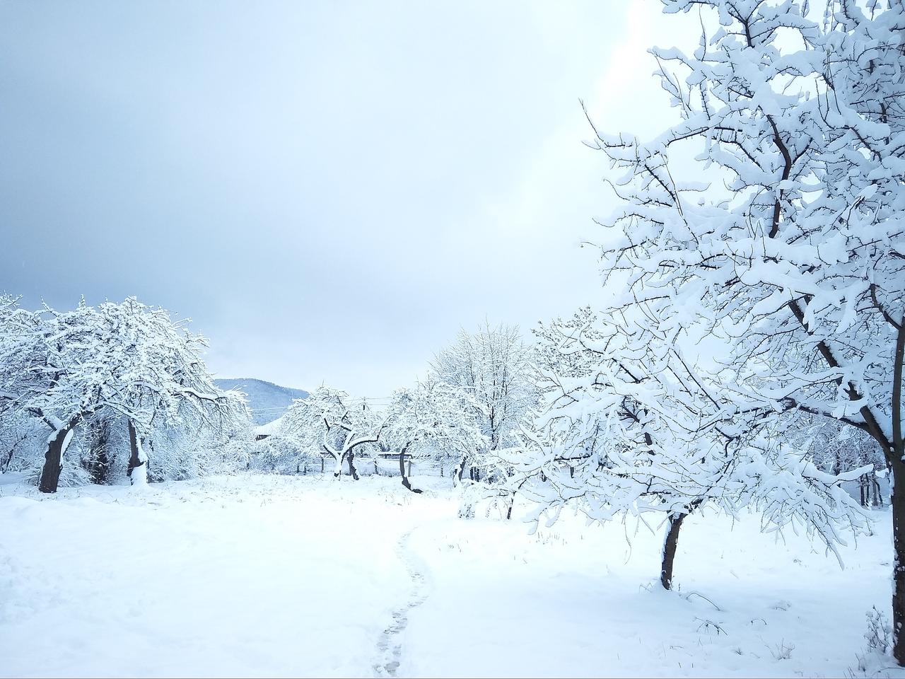 古人从不用雪字写雪，从不是刻意的文字技巧，而是他们早把雪当成了能懂自己的知己。不