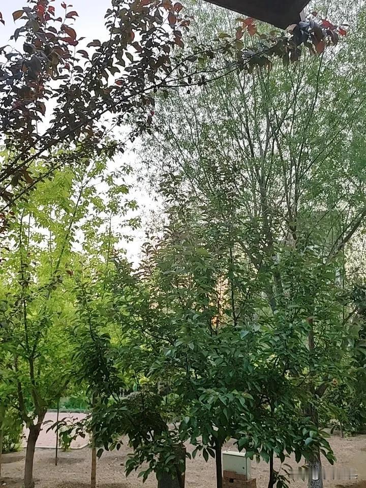 谁能告诉我，
73岁的老大姐搭伴的想法是什么？
自己有80平的电梯楼房，
有20