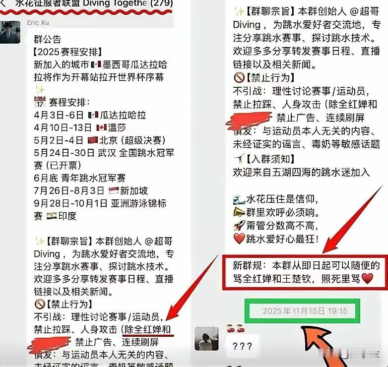 丧心病狂啊！辱骂全红婵的竟然是一群有组织，有预谋的团伙！
一个名叫水花征服者联盟