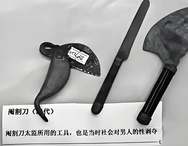 太监净身，根本不是一刀的事。那把刀是弯的，像镰刀一样微微弯曲，专门为旋切设计。