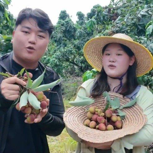张家齐和全红婵哥哥一起摘荔枝助农兴农 西安·华严寺