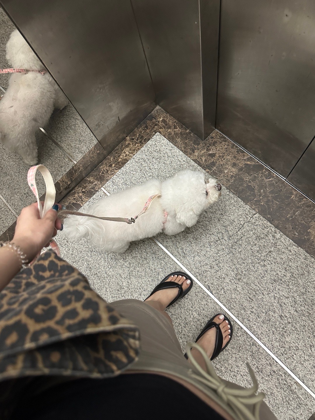 来点日常🧩 ​​​