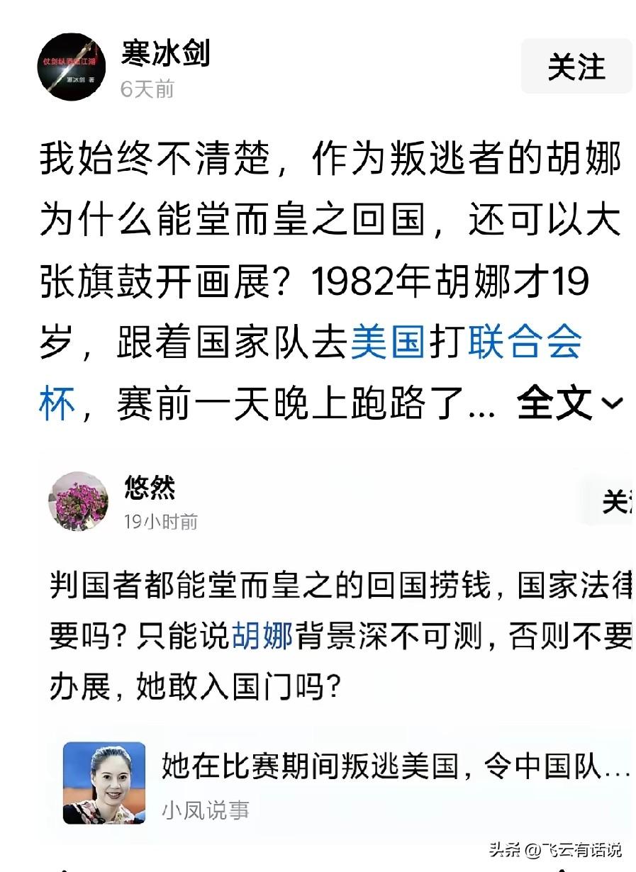 有关胡娜一事，国家层面上都放下了这一件事，不再追责
为什么网友总放不过这个人呢