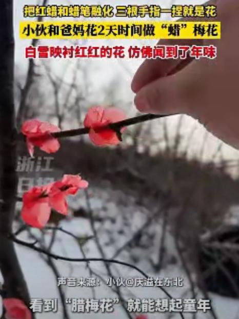 “万万没想到！”吉林一小伙带女朋友回家见父母，谁知，女友刚到他家就看到院子里腊梅