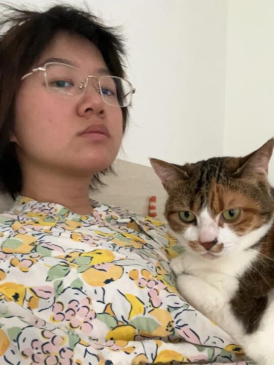 彩狸猫猫的面相是不是很容易有杀气