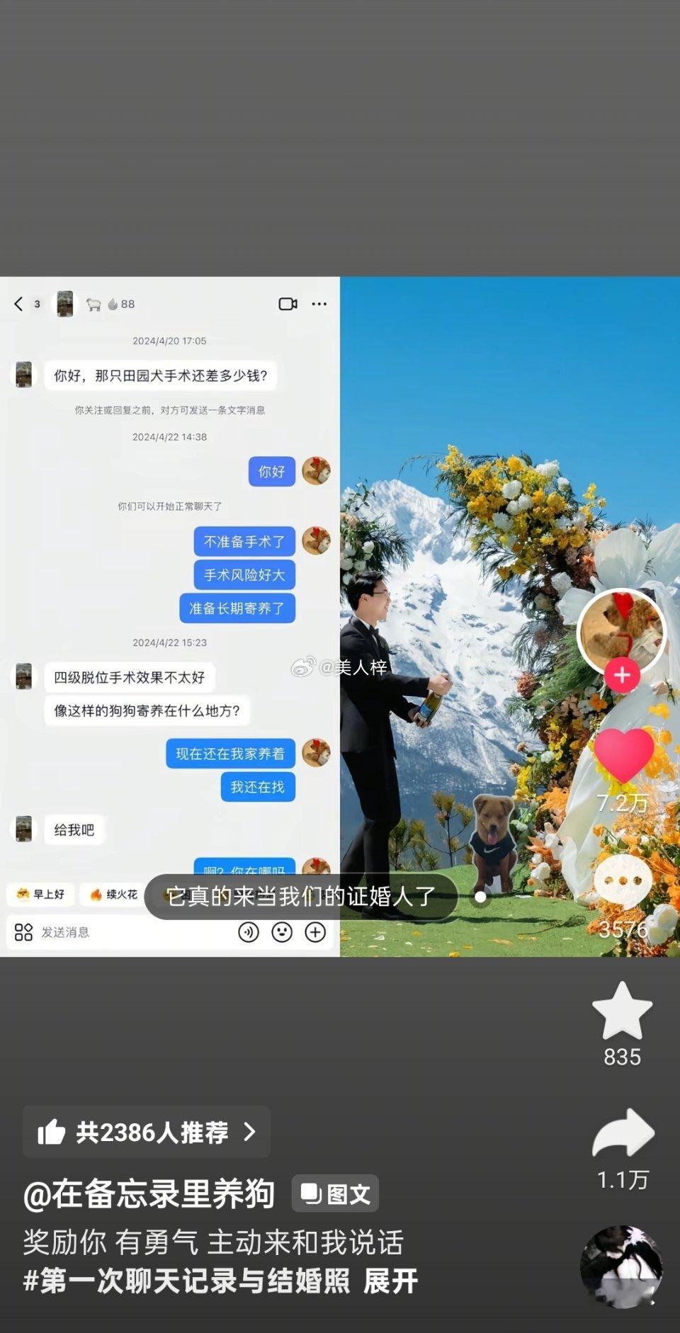 只有这个让我觉得“阿，原来这个就是正缘阿”这种感觉，其他的这个系列大多数都像山炮