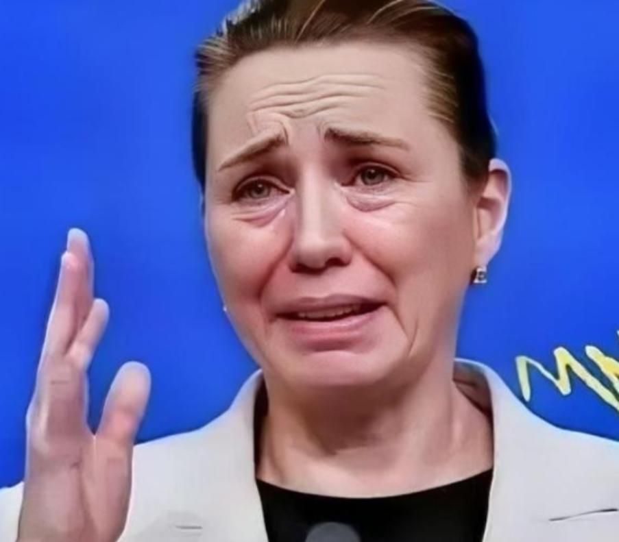 丹麦政府痛恨中国
丹麦的外交大臣拉斯穆森表示，过去不允许中国对格陵兰岛投资，现在