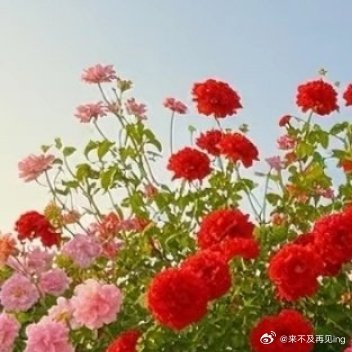 每日一善每日‬一善 阳光信用  善良是一种传递。用言行把善传递给别人，让人感受并