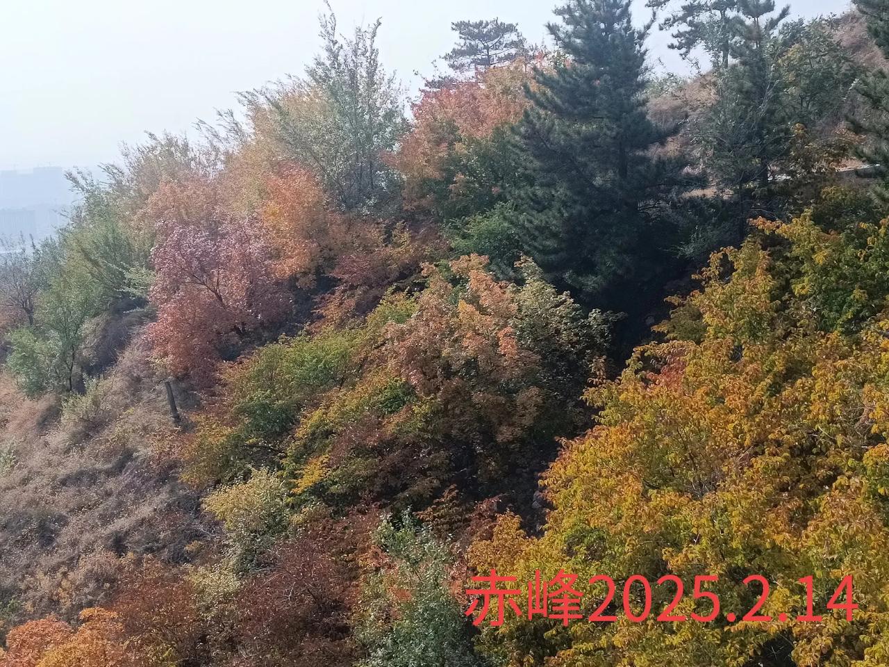 一路山色，随手拍一张风景照爬山随拍，山中美景。