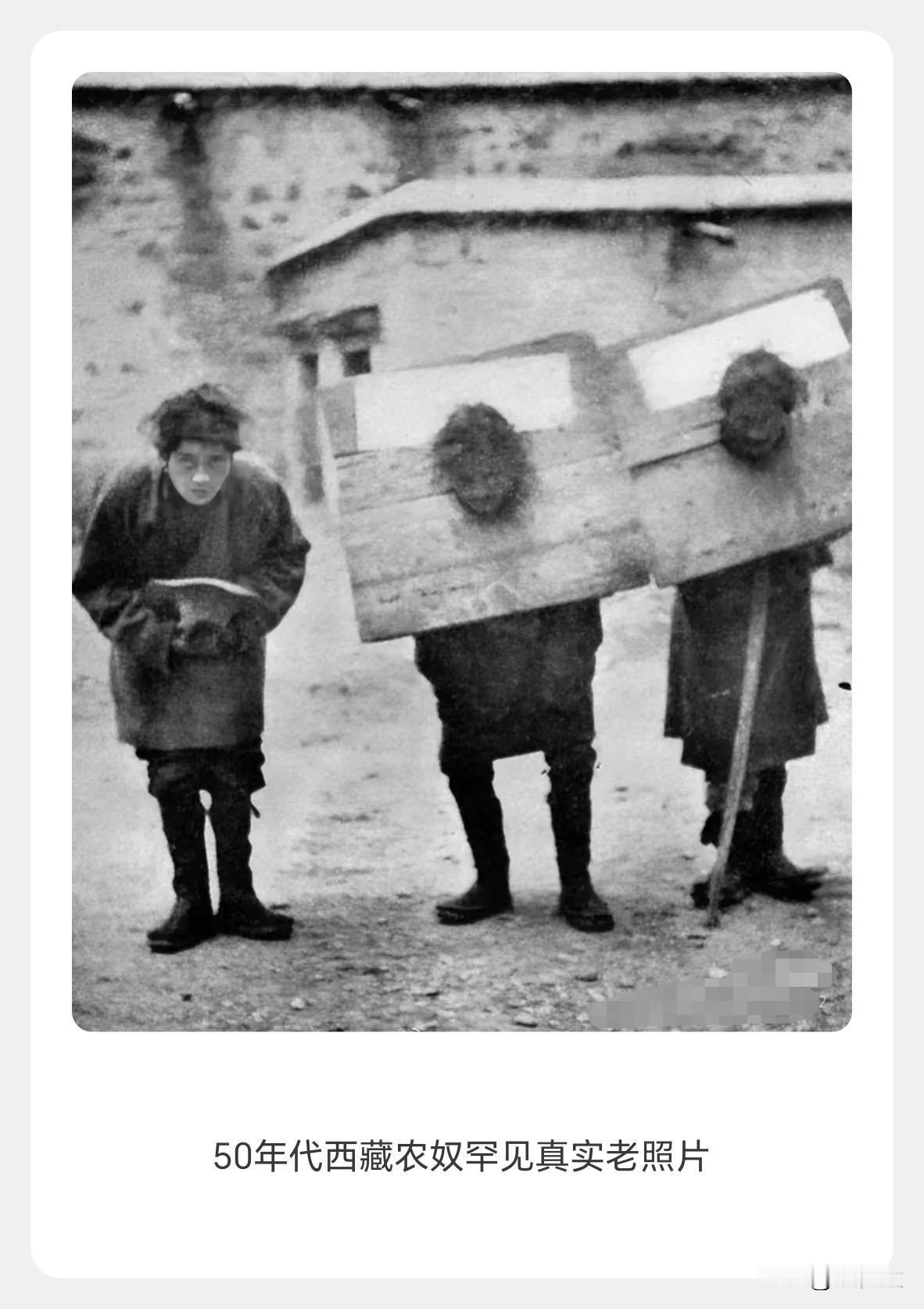 这张照片拍摄于上世纪50年代初的旧西藏，画面中几名农奴头上戴着沉重的枷锁，神情凝