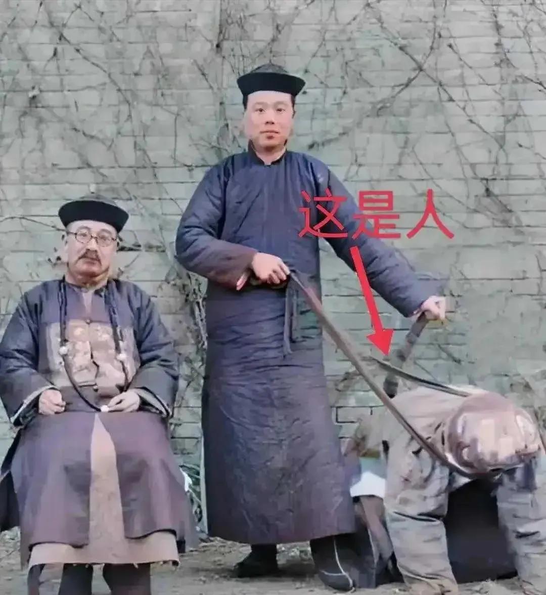 人要有尊严！这个时候应该拼一拼！或者自我了断。
