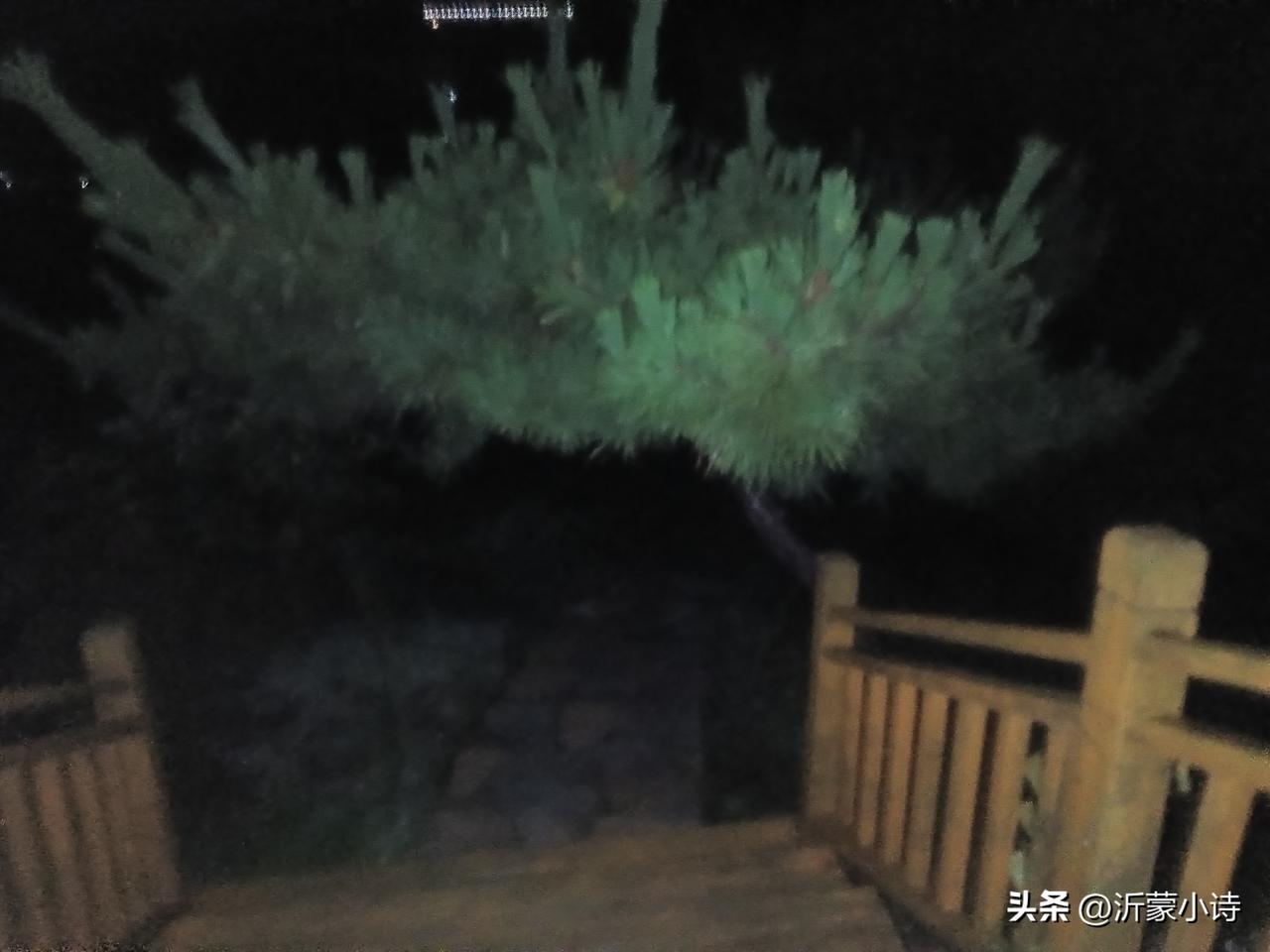 高纪明(山东)
山行
雾锁松山云绕谷，风吟栈道入林深。
竹溪流水悠然过，莫怨青蒿