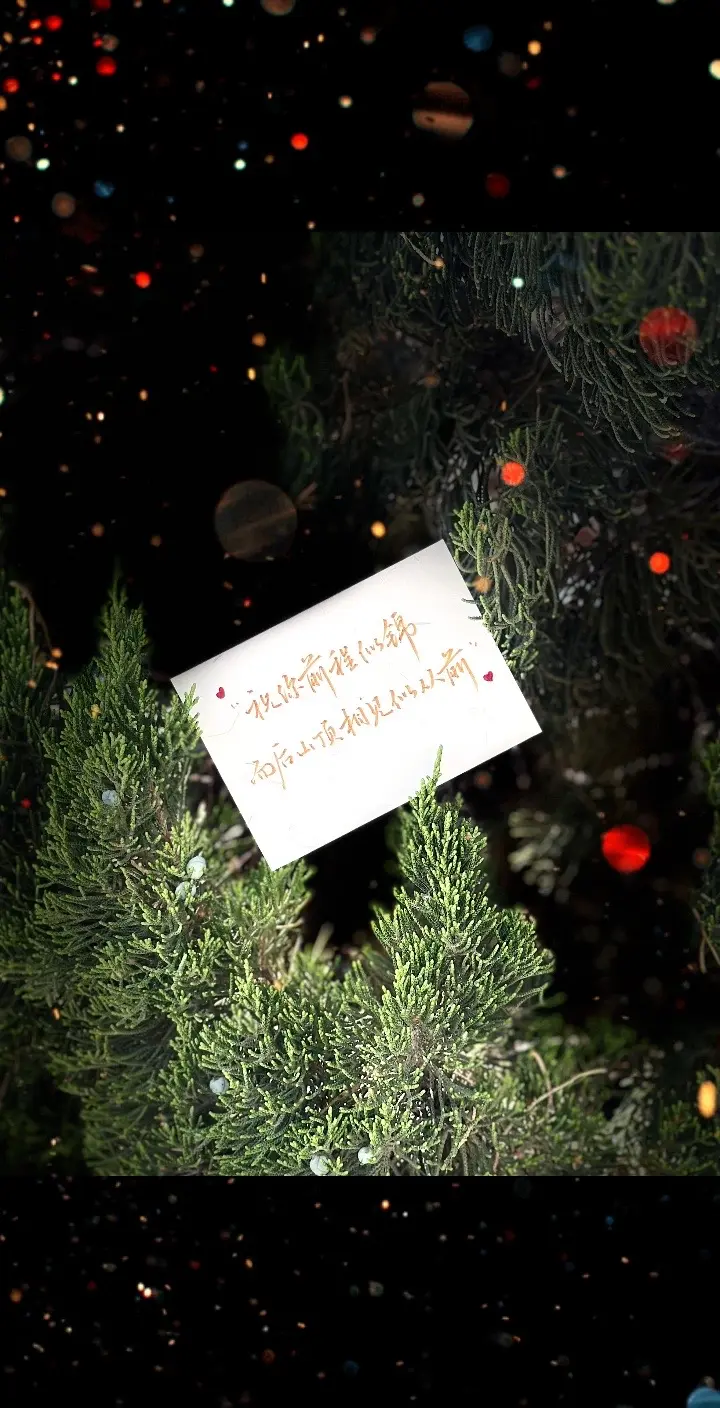 “祝你前程似锦，而后山顶相见似从前”