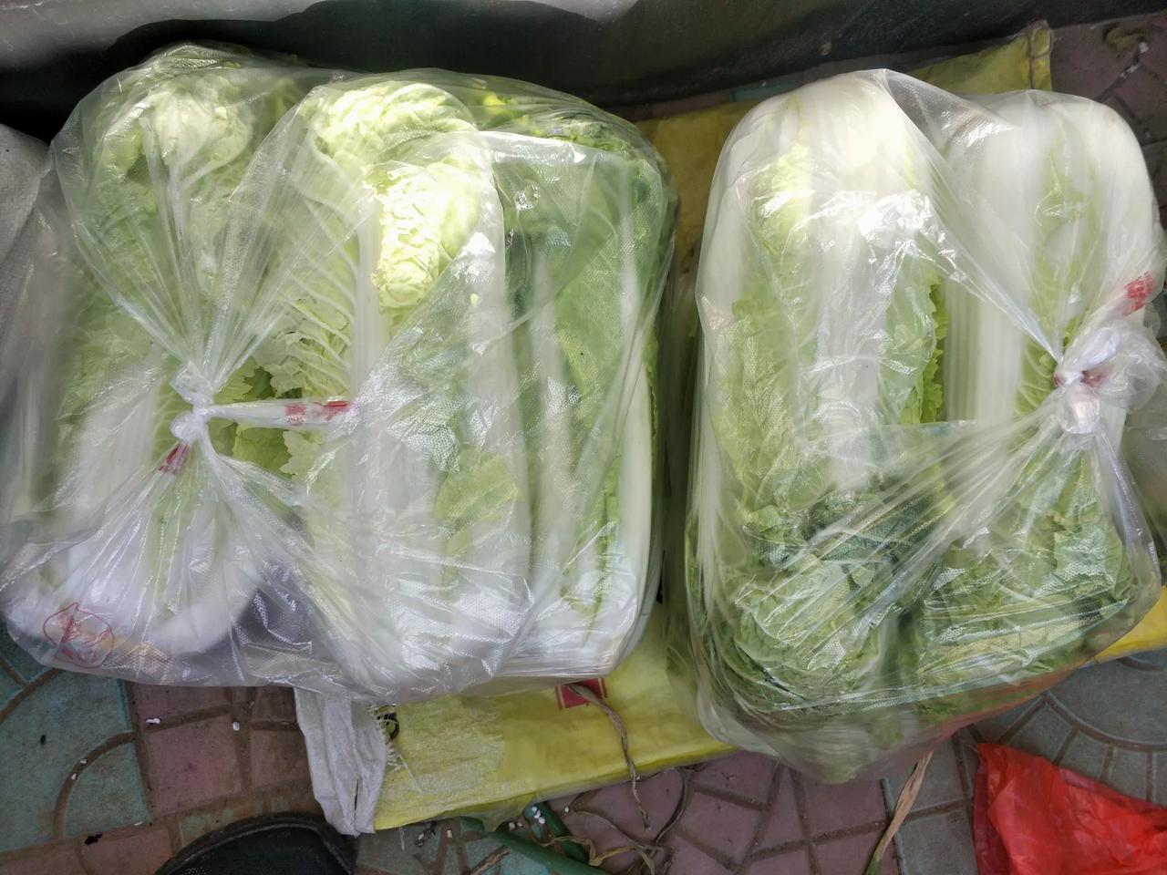 今天我们村过集，我在集上买了两半袋白菜花了10元，还是净菜看着不错白菜是5角一斤