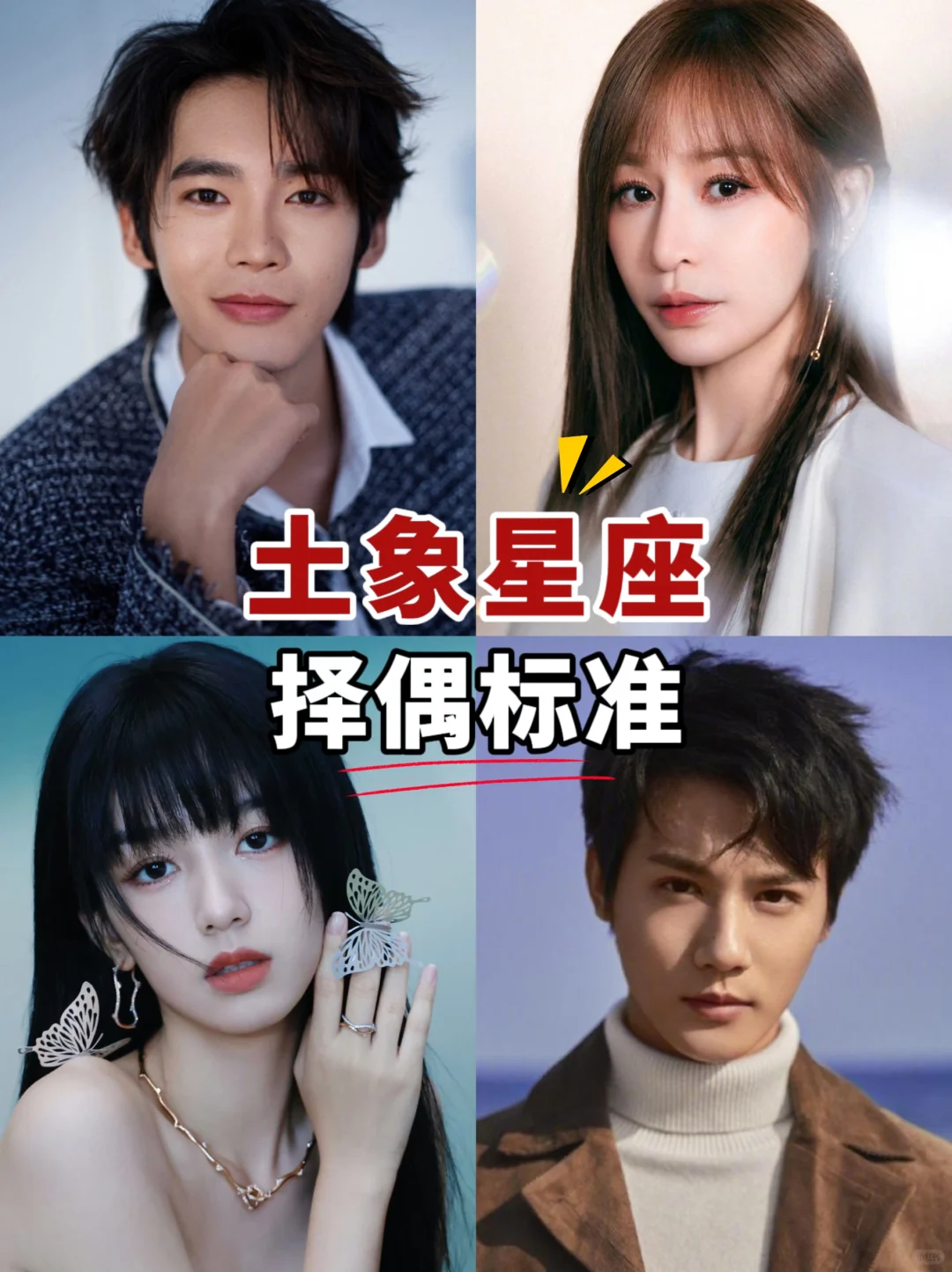 土象（金牛摩羯处女）的择偶标准